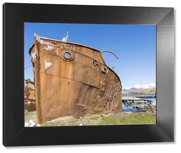 Wreck of the Dias in Grytviken. Grytviken Whaling Station in South Georgia