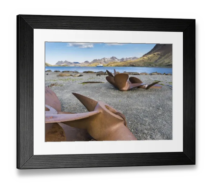 Framed Print : Ruins of Stromness Whaling Station in South Georgia Island Antarctica, South Georgia Framed Print : Ruins of Stromness Whaling Station in South Georgia Island Antarctica, South Georgia