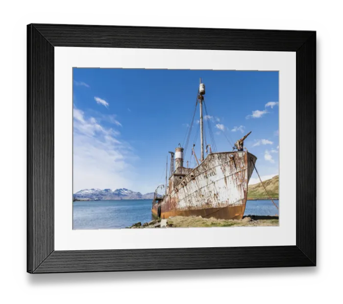 Framed Print : Petrel whale catcher. Grytviken Whaling Station, open to visitors, but most walls Framed Print : Petrel whale catcher. Grytviken Whaling Station, open to visitors, but most walls