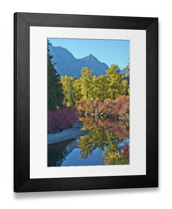 Framed Print : Fall foliage, White River Area, Wenatchee National Forest, Washington State, USA Framed Print : Fall foliage, White River Area, Wenatchee National Forest, Washington State, USA