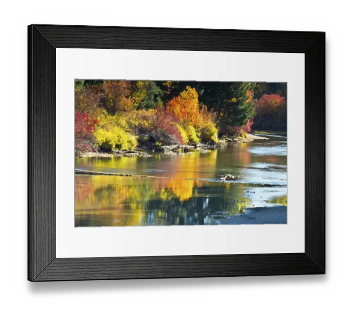 Framed Print : Fall foliage, White River Area, Wenatchee National Forest, Washington State, USA Framed Print : Fall foliage, White River Area, Wenatchee National Forest, Washington State, USA