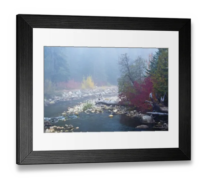 Framed Print : Foggy autumn, Nason Creek, Wenatchee National Forest, Washington State, USA Framed Print : Foggy autumn, Nason Creek, Wenatchee National Forest, Washington State, USA