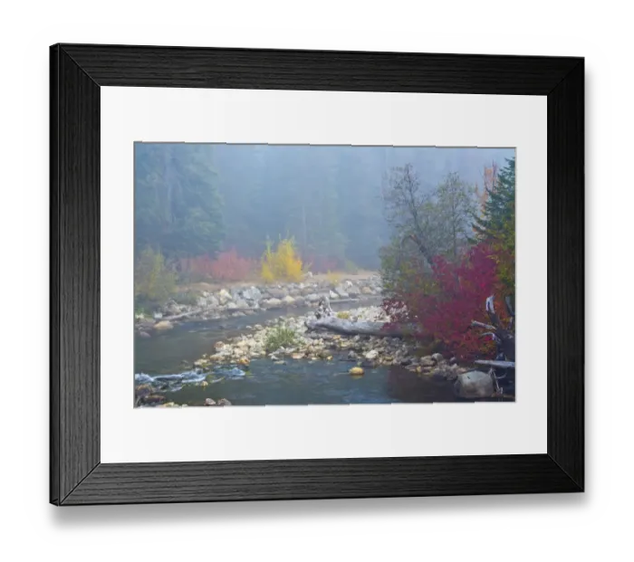 Framed Print : Foggy autumn, Nason Creek, Wenatchee National Forest, Washington State, USA Framed Print : Foggy autumn, Nason Creek, Wenatchee National Forest, Washington State, USA