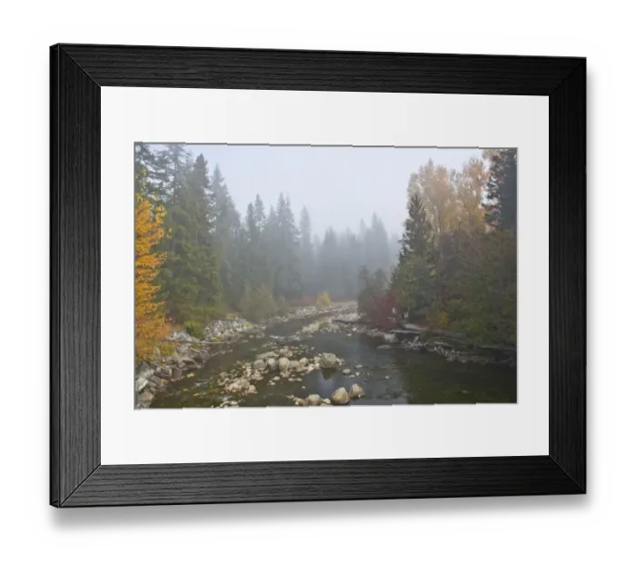 Framed Print : Foggy autumn, Nason Creek, Wenatchee National Forest, Washington State, USA Framed Print : Foggy autumn, Nason Creek, Wenatchee National Forest, Washington State, USA