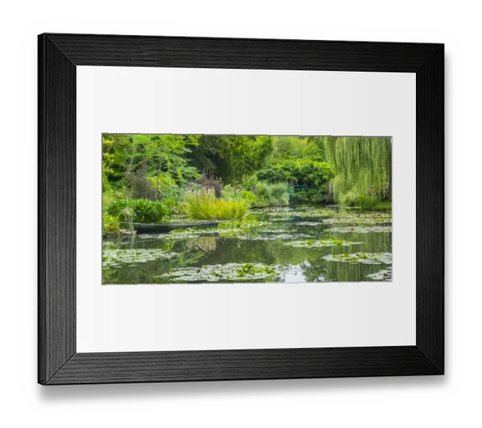 Framed Print : Monets Garden with the Japanese influenced pond Framed Print : Monets Garden with the Japanese influenced pond