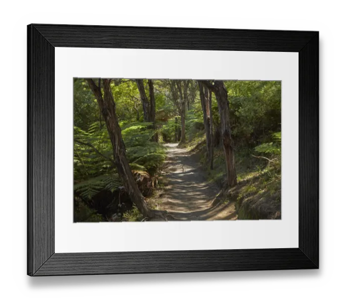 Framed Print : Pitt Head Track, Abel Tasman National Park, Nelson Region, South Island, New Zealand Framed Print : Pitt Head Track, Abel Tasman National Park, Nelson Region, South Island, New Zealand