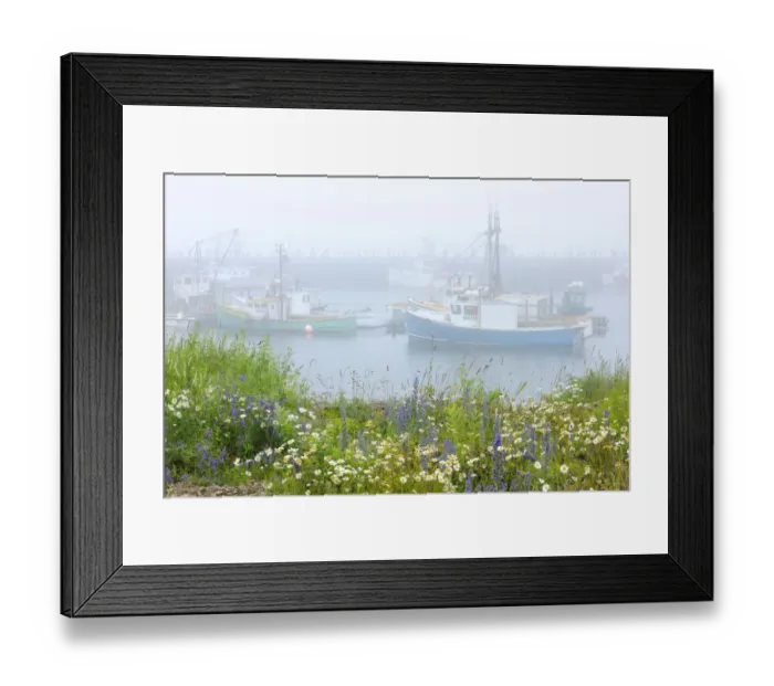 Framed Print : Canada, New Brunswick, Grand Manan Island Framed Print : Canada, New Brunswick, Grand Manan Island