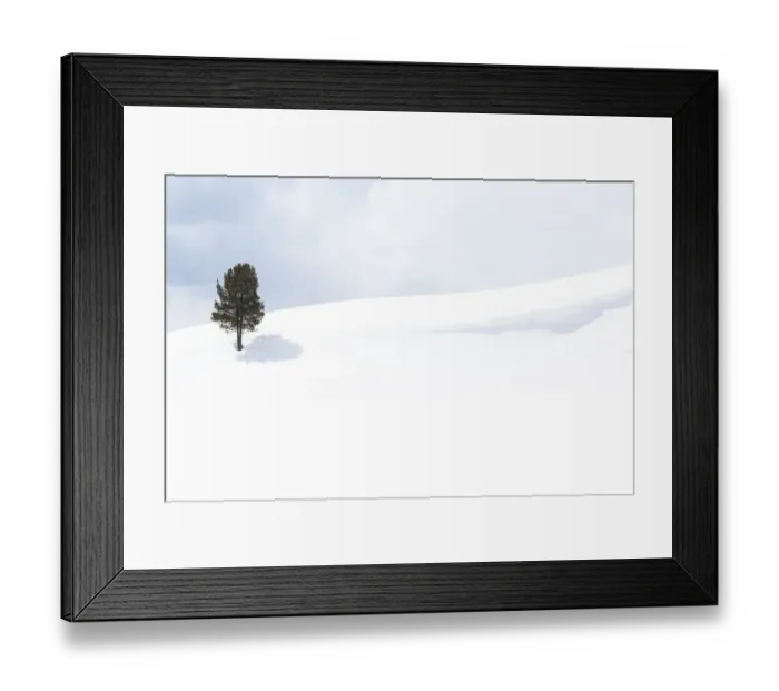 Framed Print : Usa, Wyoming, Yellowstone National Park, Lamar Valley. Tree casting a shadow in the snow pack Framed Print : Usa, Wyoming, Yellowstone National Park, Lamar Valley. Tree casting a shadow in the snow pack