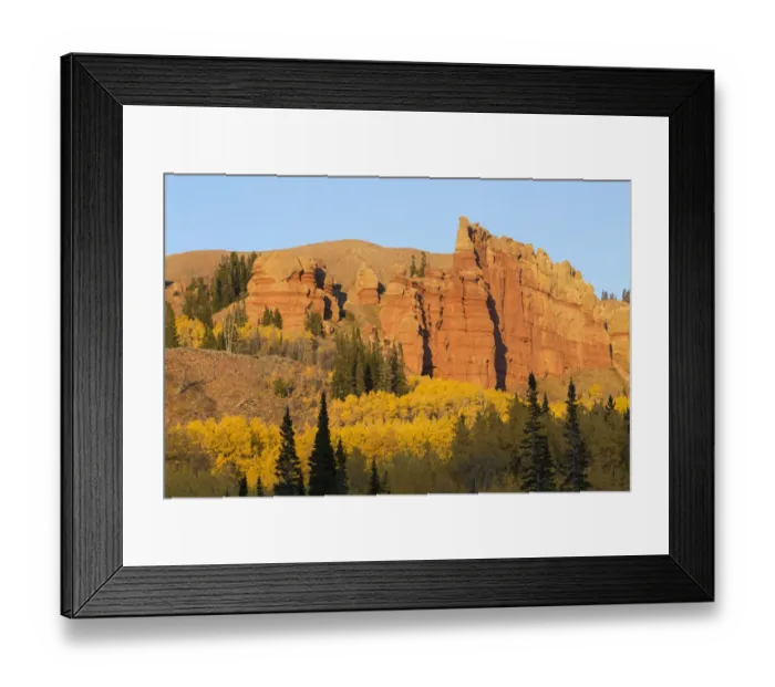 Framed Print : USA, Wyoming, Sublette County. Wyoming Range, colorful autumn aspens are surrounding