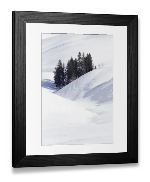 Framed Print : USA, Wyoming, Yellowstone National Park, Lamar Valley