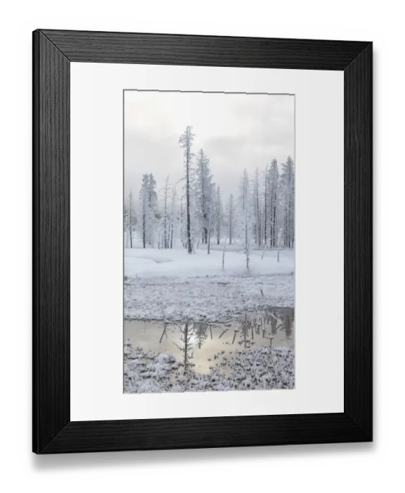 Framed Print : USA, Wyoming, Yellowstone National Park, near Midway Geyser Basin Framed Print : USA, Wyoming, Yellowstone National Park, near Midway Geyser Basin