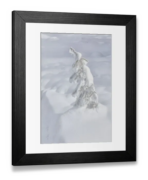 Framed Print : USA, Wyoming, Yellowstone National Park, Midway Geyser Basin Framed Print : USA, Wyoming, Yellowstone National Park, Midway Geyser Basin