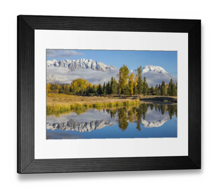 Framed Print : USA, Wyoming, Grand Teton National Park. Schwabacher Landing, Mt Framed Print : USA, Wyoming, Grand Teton National Park. Schwabacher Landing, Mt