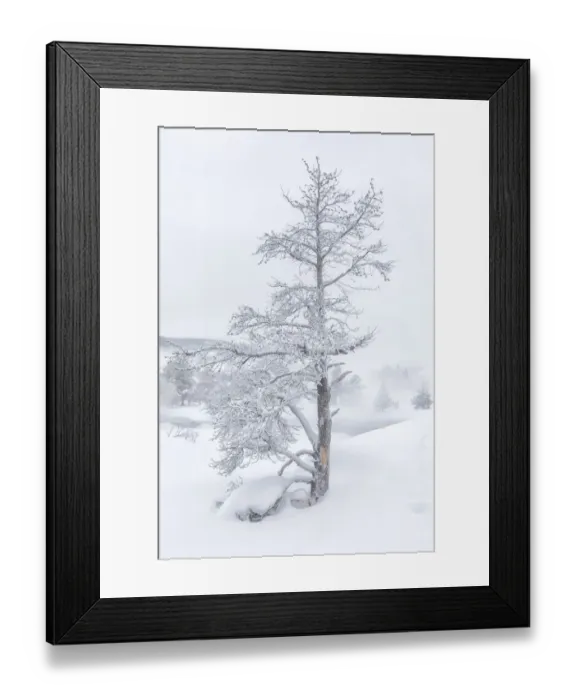 Framed Print : USA, Wyoming, Yellowstone National Park, Upper Geyser Basin