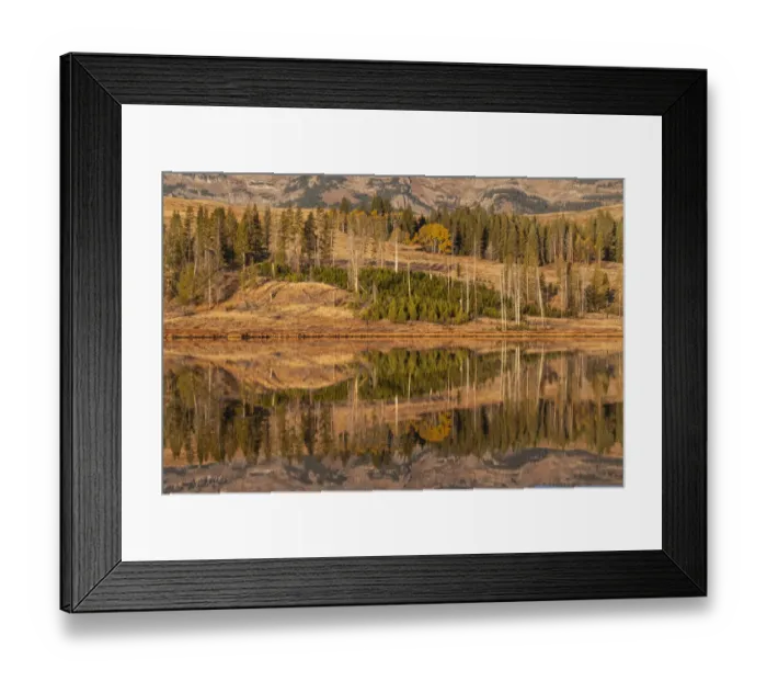 Framed Print : Usa, Wyoming, Yellowstone National Park. Swan Flats in autumn at dawn