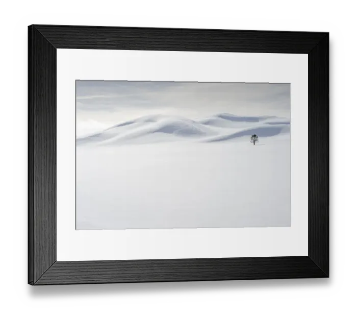 Framed Print : USA, Wyoming, Yellowstone National Park, winter, lone tree Framed Print : USA, Wyoming, Yellowstone National Park, winter, lone tree