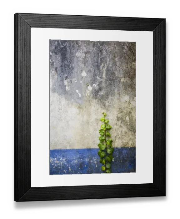 Framed Print : Portugal, Azores, Faial Island, Norte Pequeno Framed Print : Portugal, Azores, Faial Island, Norte Pequeno