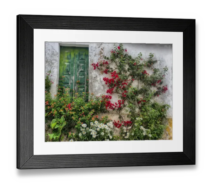 Framed Print : Portugal, Obidos. Flowers growing on wall of house with green door Framed Print : Portugal, Obidos. Flowers growing on wall of house with green door