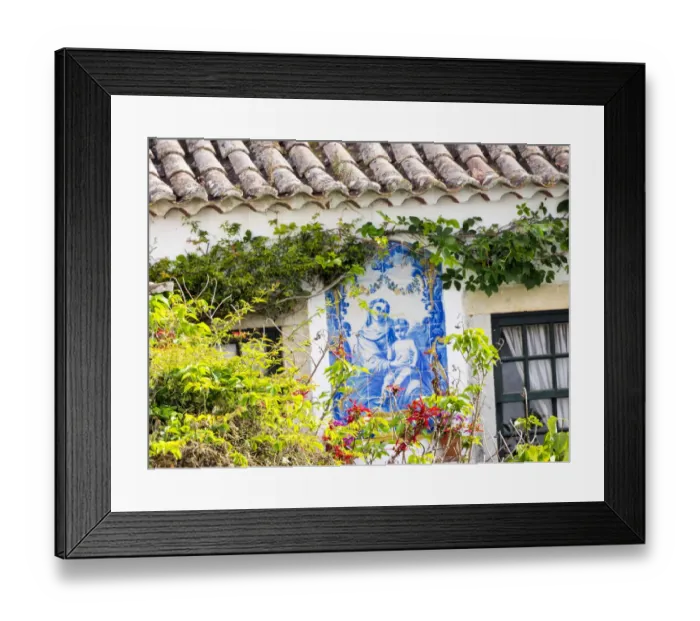 Framed Print : Portugal, Obidos. Flowers growing on walls of the town Framed Print : Portugal, Obidos. Flowers growing on walls of the town
