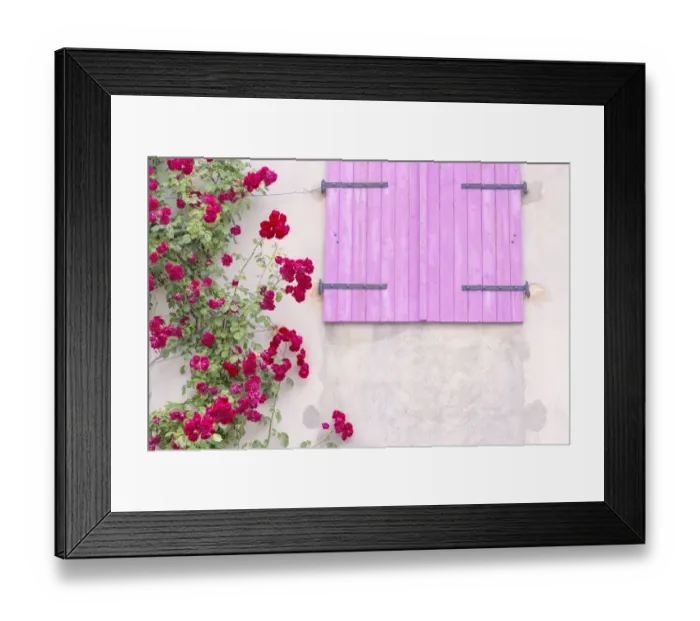 Framed Print : Europe, France, Provence. Colorful house facade