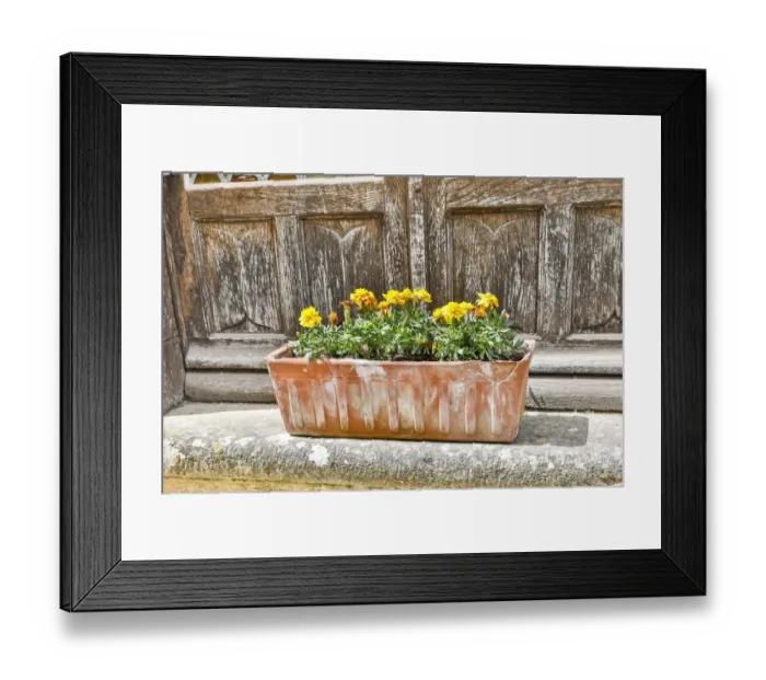 Framed Print : France, Saint-Cirq Lapopie. Flower box on a doorstep Framed Print : France, Saint-Cirq Lapopie. Flower box on a doorstep