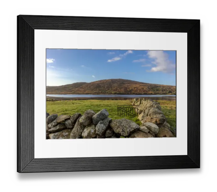 Framed Print : Small lake with stone fence and sheep in pasture near Clifden, Ireland