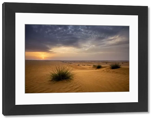 Sunrise in the desert. Abu Dhabi, UAE