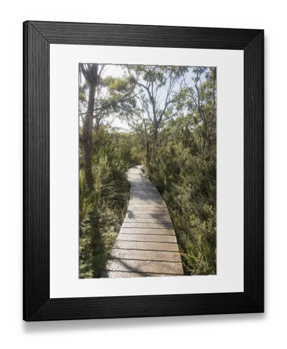 Framed Print : Australia, Tasmania, Tasman National Park. Three Capes Track Cape Hauy boardwalk Framed Print : Australia, Tasmania, Tasman National Park. Three Capes Track Cape Hauy boardwalk