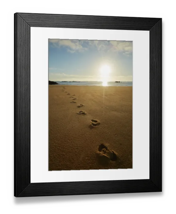 Framed Print : Footprints in the sand at sunrise, Mosquito Bay, Abel Tasman National Park, Nelson Region Framed Print : Footprints in the sand at sunrise, Mosquito Bay, Abel Tasman National Park, Nelson Region
