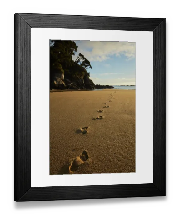 Framed Print : Footprints in the sand, Mosquito Bay, Abel Tasman National Park, Nelson Region, South Island Framed Print : Footprints in the sand, Mosquito Bay, Abel Tasman National Park, Nelson Region, South Island