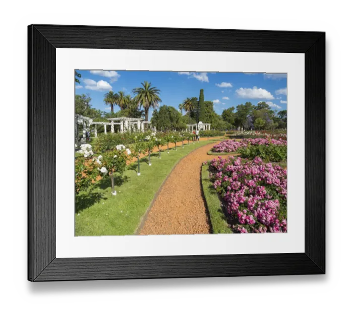 Framed Print : Bosques de Palermo park in quarter Palermo, the rose garden (El Rosedal de Palermo) Framed Print : Bosques de Palermo park in quarter Palermo, the rose garden (El Rosedal de Palermo)