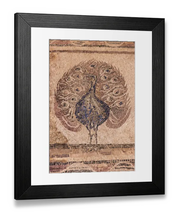 Framed Print : Mosaic painting in the Archaeological Park, Paphos (Pafos), Republic of Cyprus Framed Print : Mosaic painting in the Archaeological Park, Paphos (Pafos), Republic of Cyprus