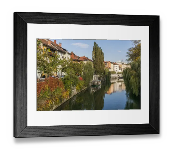 Framed Print : Slovenia, Ljubljana. Vines and trees provide a lush urban corridor along the Ljubljanica River Framed Print : Slovenia, Ljubljana. Vines and trees provide a lush urban corridor along the Ljubljanica River