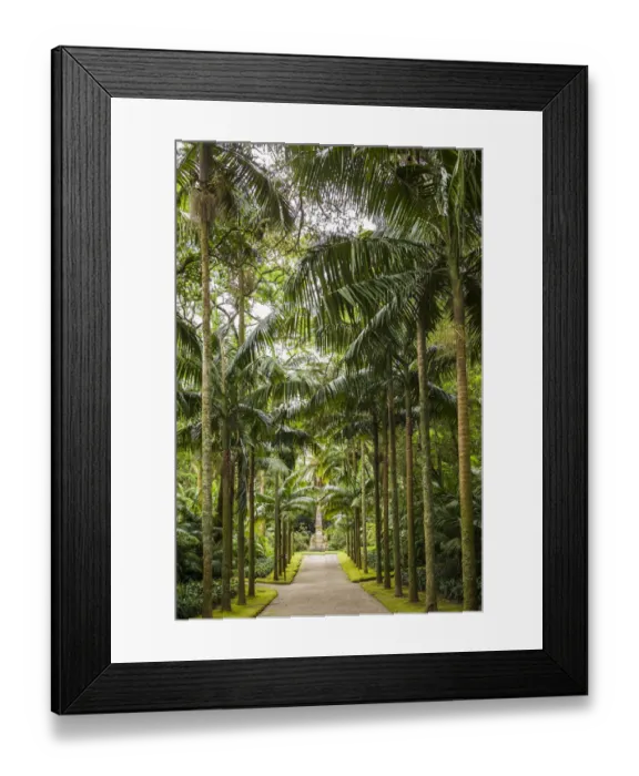Framed Print : Portugal, Azores, Sao Miguel Island, Furnas