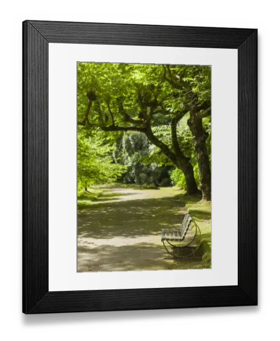 Framed Print : Portugal, Azores, Sao Miguel Island, Furnas. Terra Nostra Garden, park bench
