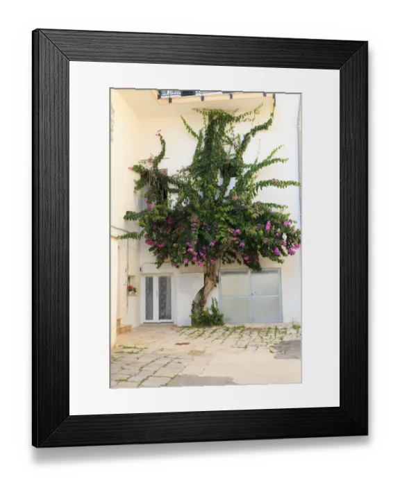 Framed Print : Italy, Ostuni. Old town, Bougainvillea along narrow alleyways. The White City Framed Print : Italy, Ostuni. Old town, Bougainvillea along narrow alleyways. The White City