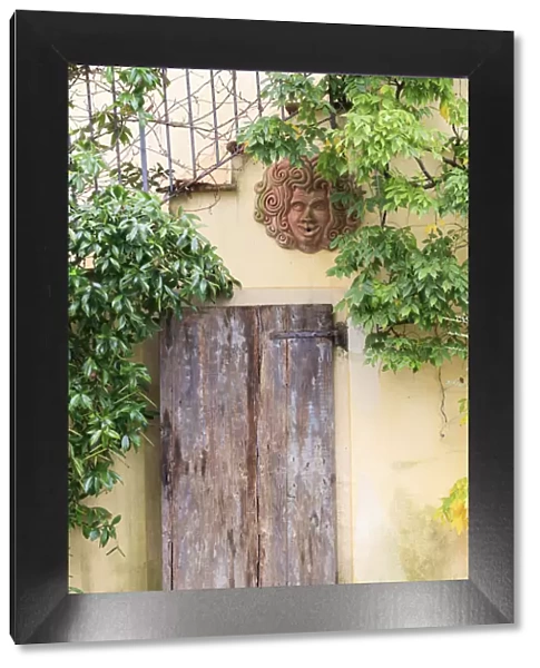 Italy, Chianti. Radda. Wooden door with greenery and decorative terracotta face