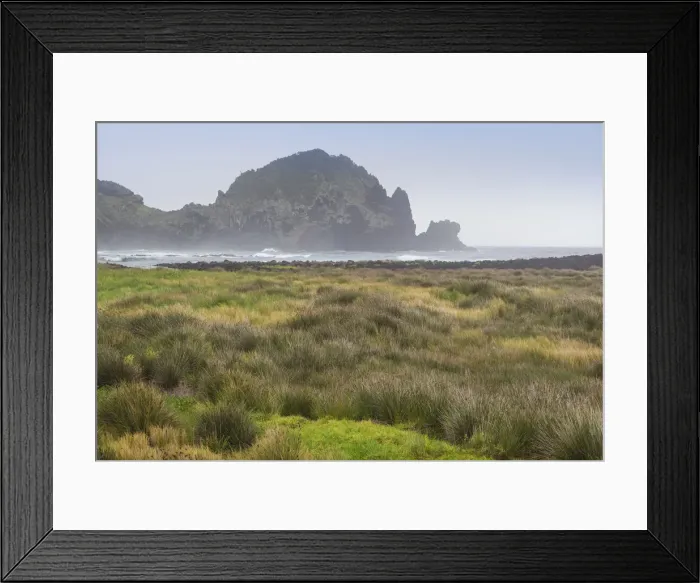Framed Print : Portugal, Azores, Pico Island, Lajes do Pico. Harbor marshes Framed Print : Portugal, Azores, Pico Island, Lajes do Pico. Harbor marshes