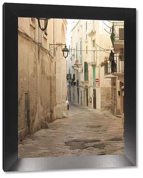 Italy, Puglia. Small commune of the Metropolitan City of Bari, Alberobello