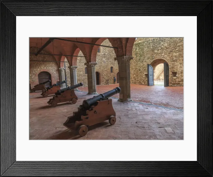 Framed Print : Italy, Tuscany. The Castello Banfi estate, south of Montalcino, vineyards, olive groves