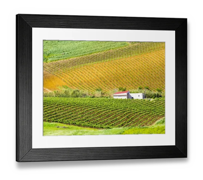 Framed Print : Italy, Sicily, Trapani. Alcamo countryside Framed Print : Italy, Sicily, Trapani. Alcamo countryside