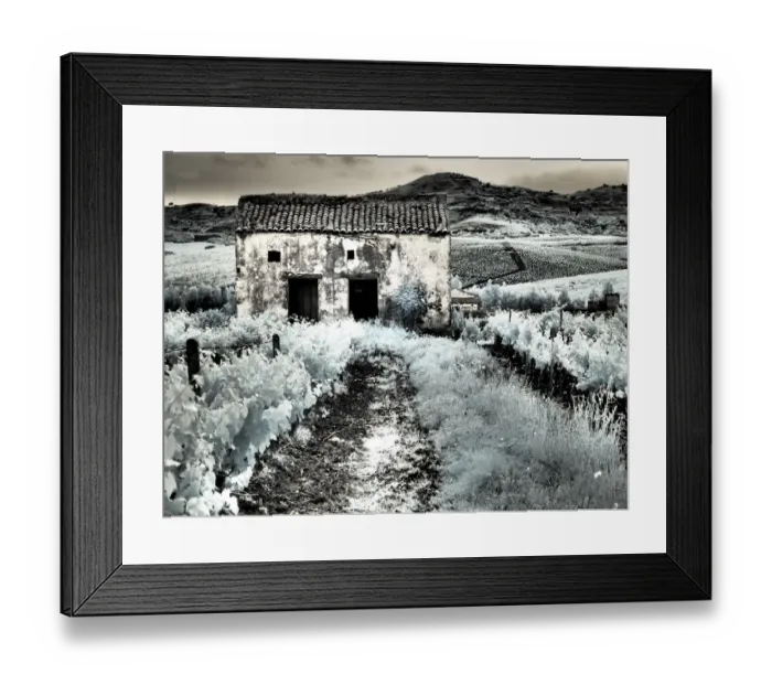Framed Print : Italy, Sicily, Trapani. Alcamo countryside Framed Print : Italy, Sicily, Trapani. Alcamo countryside