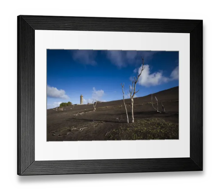 Framed Print : Portugal, Azores, Faial Island. Capelinhos volcanic eruption site and remaining trees Framed Print : Portugal, Azores, Faial Island. Capelinhos volcanic eruption site and remaining trees