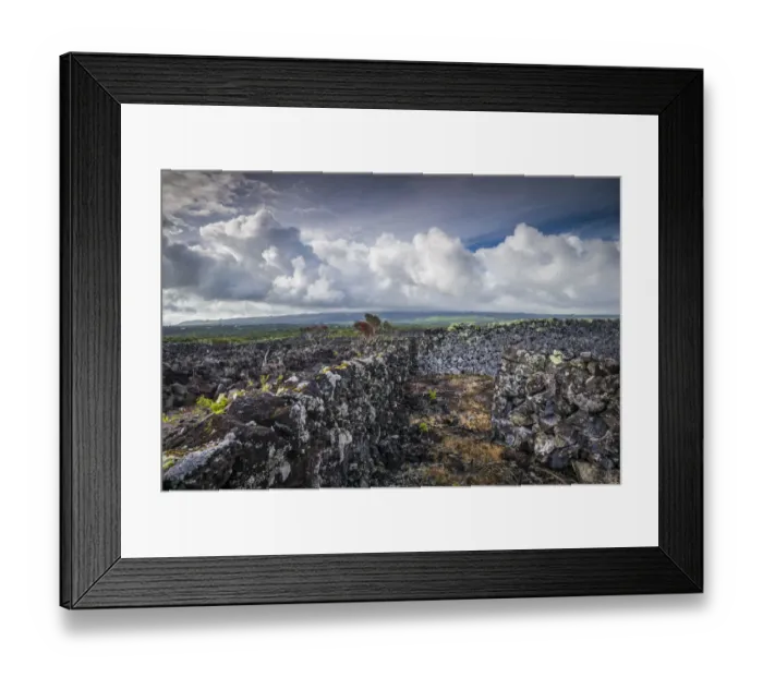 Framed Print : Portugal, Azores, Pico Island, Arcos. Vineyards made of volcanic stone