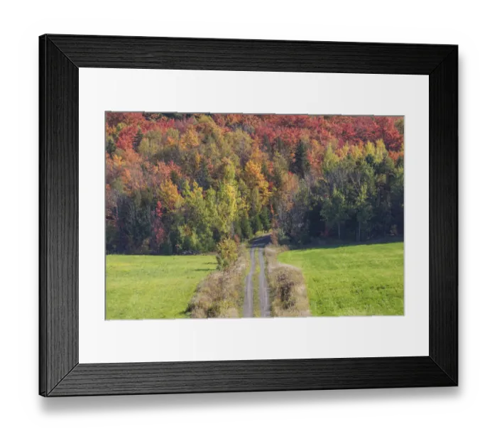 Framed Print : Canada, Quebec, Sainte-Famille. Country road Framed Print : Canada, Quebec, Sainte-Famille. Country road