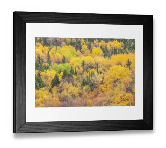 Framed Print : Canada, Quebec, Saguenay Fjord, L Anse-Saint-Jean Framed Print : Canada, Quebec, Saguenay Fjord, L Anse-Saint-Jean