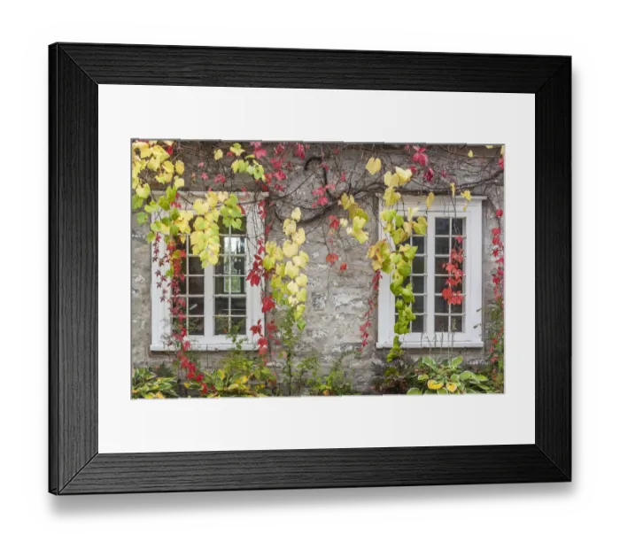 Framed Print : Canada, Quebec, Neuville. Rue des Erables, village building