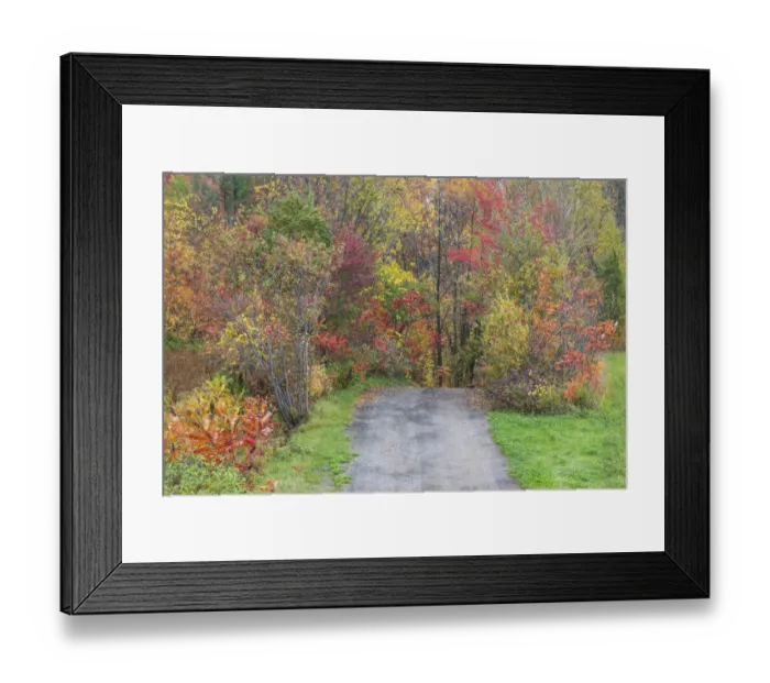 Framed Print : Canada, Quebec, Neuville. Country road Framed Print : Canada, Quebec, Neuville. Country road