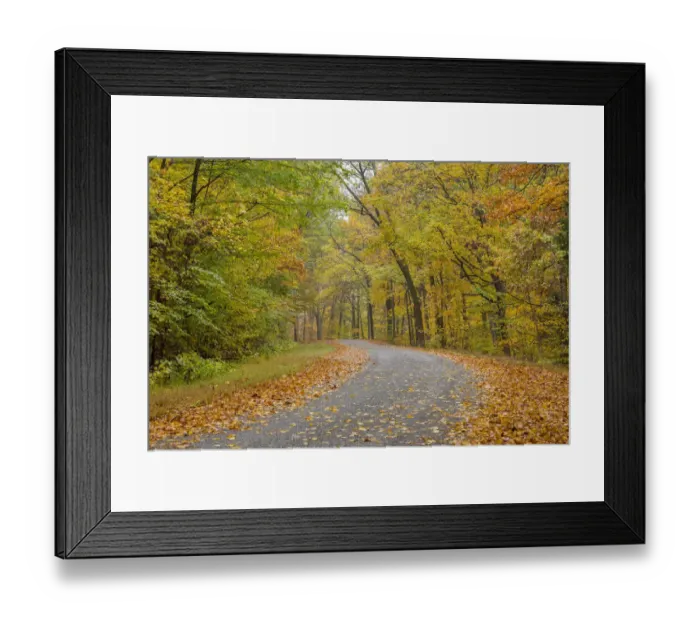 Framed Print : Road at Pounds Hollow, Shawnee National Forest, Saline County, Illinois Framed Print : Road at Pounds Hollow, Shawnee National Forest, Saline County, Illinois