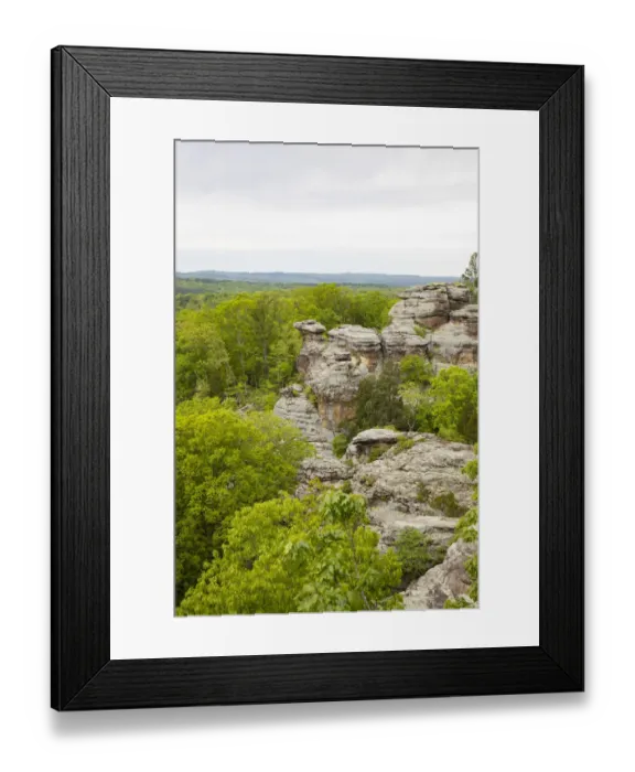 Framed Print : Camel Rock, Garden of the Gods Recreation Area, Shawnee National Forest, Saline County Framed Print : Camel Rock, Garden of the Gods Recreation Area, Shawnee National Forest, Saline County
